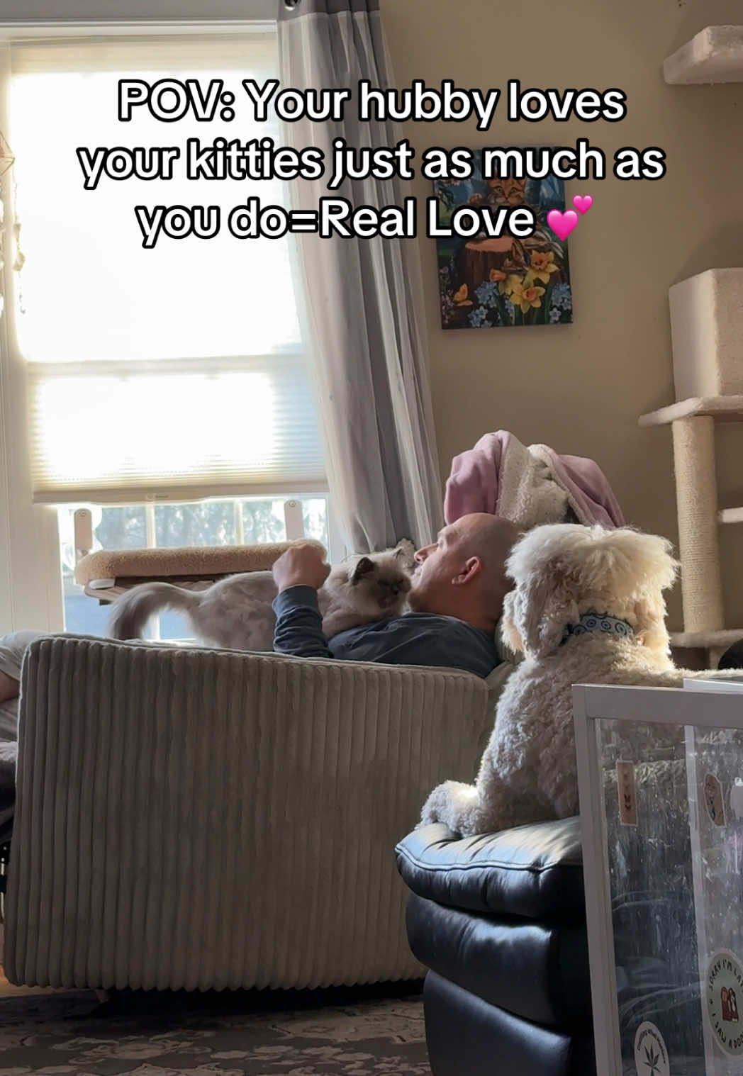 @Ambrosepets