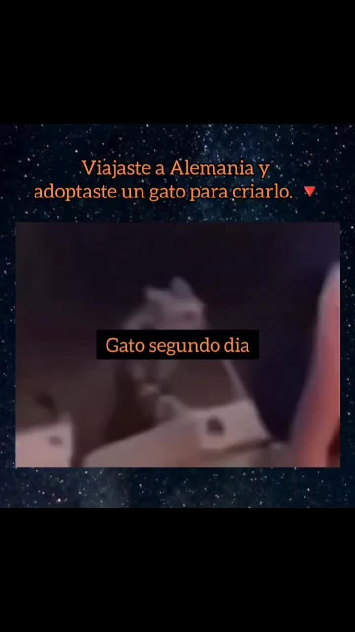 @EL HISTORIADOR LUIYIFORLIFE