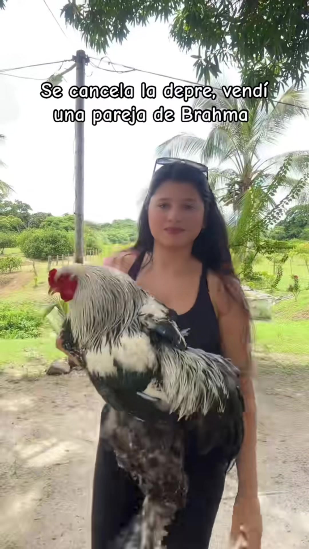 @Granjamascotalandiayaracuy
