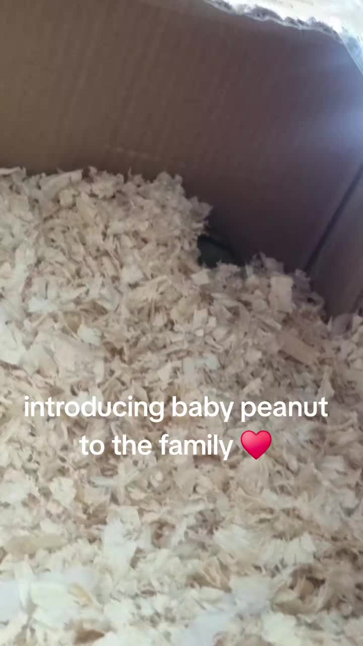 @Teagz🖤
