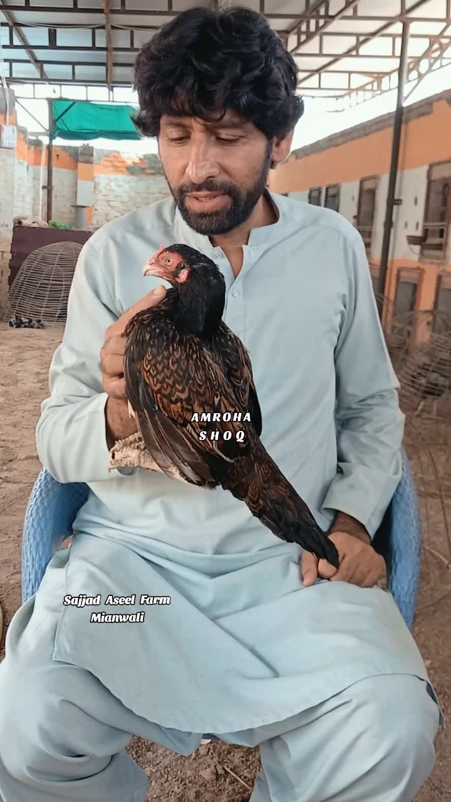 @Sajjad Aseel Farm