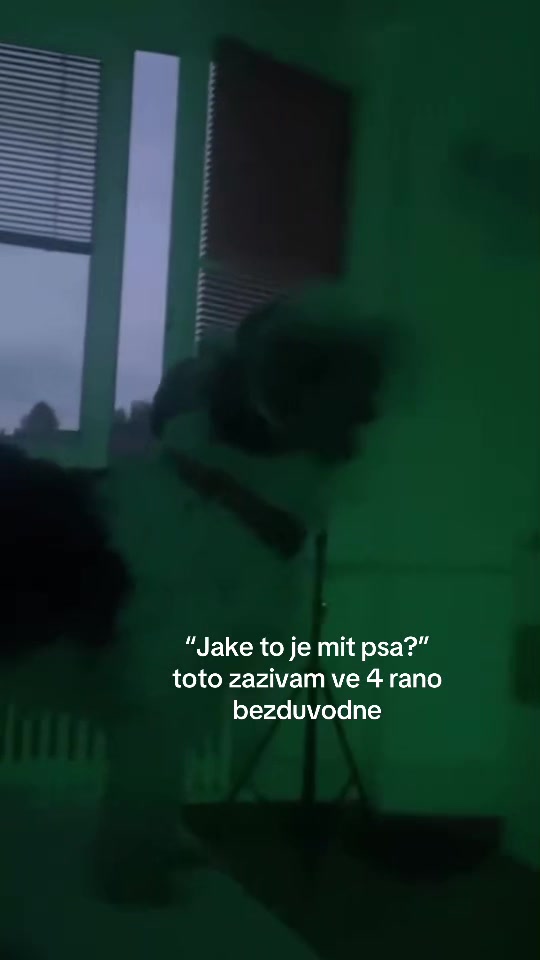@𝓪𝓶𝓮𝓵𝓲𝓮