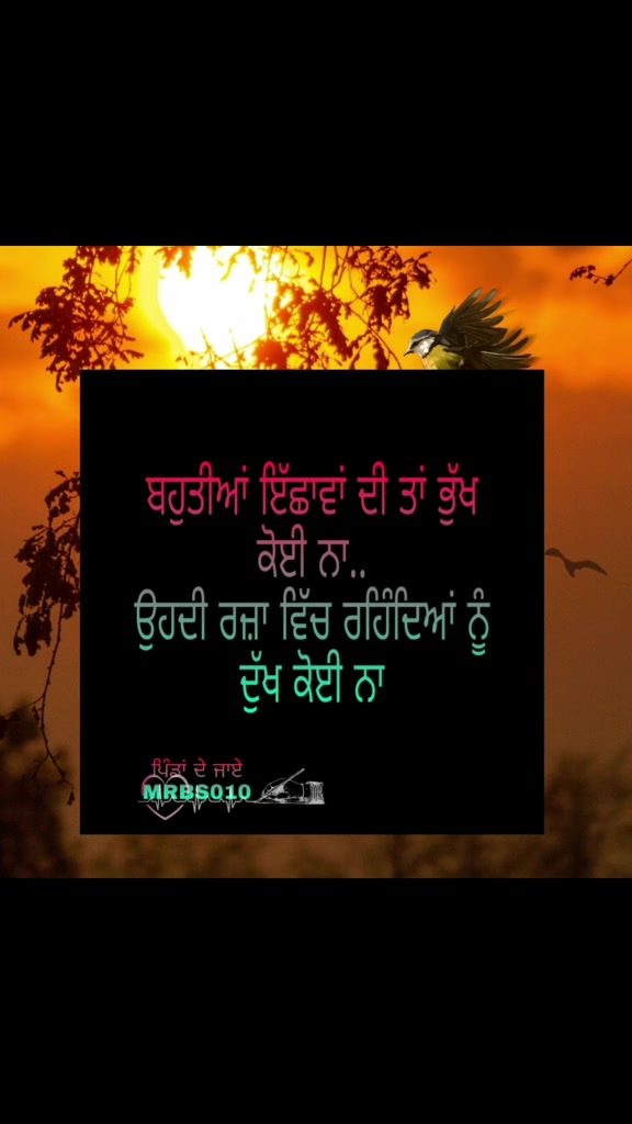 @MrPB1115 ਪਿੰਡਾਂਦੇਜਾਏ🦅