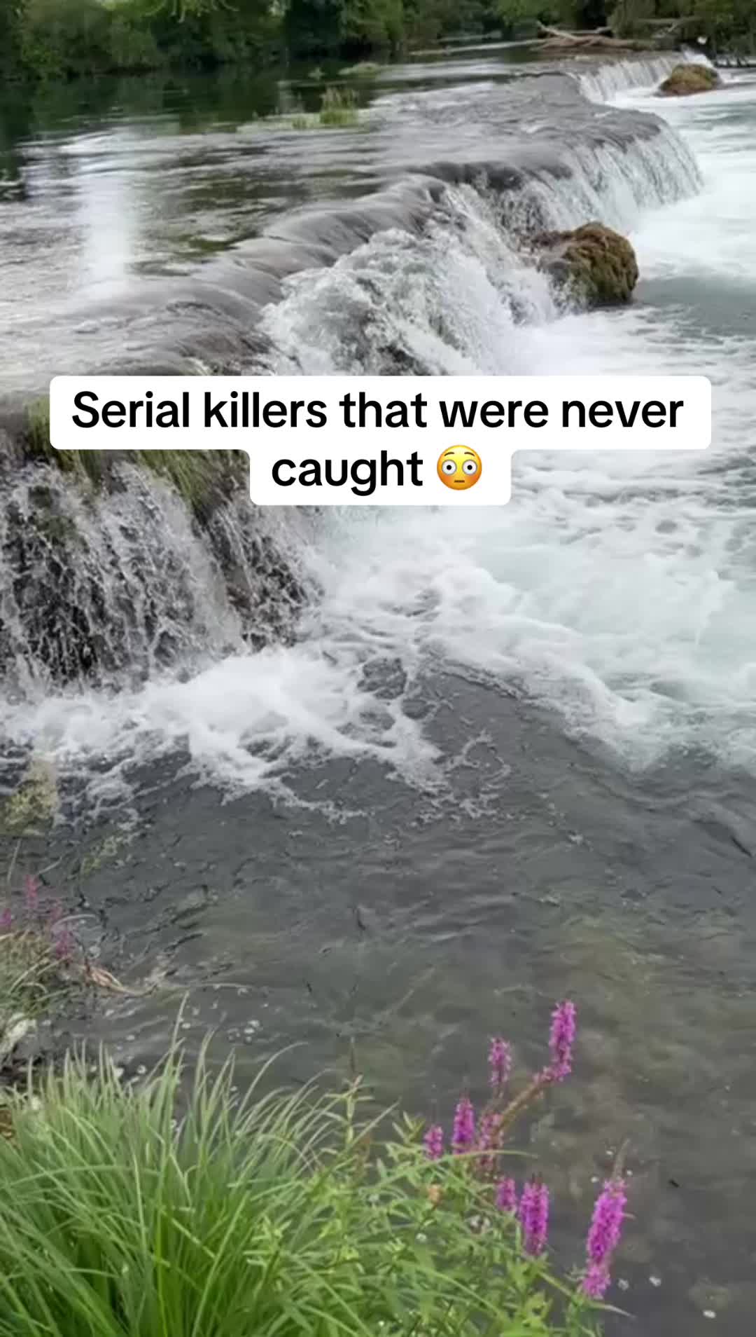 @Efacts