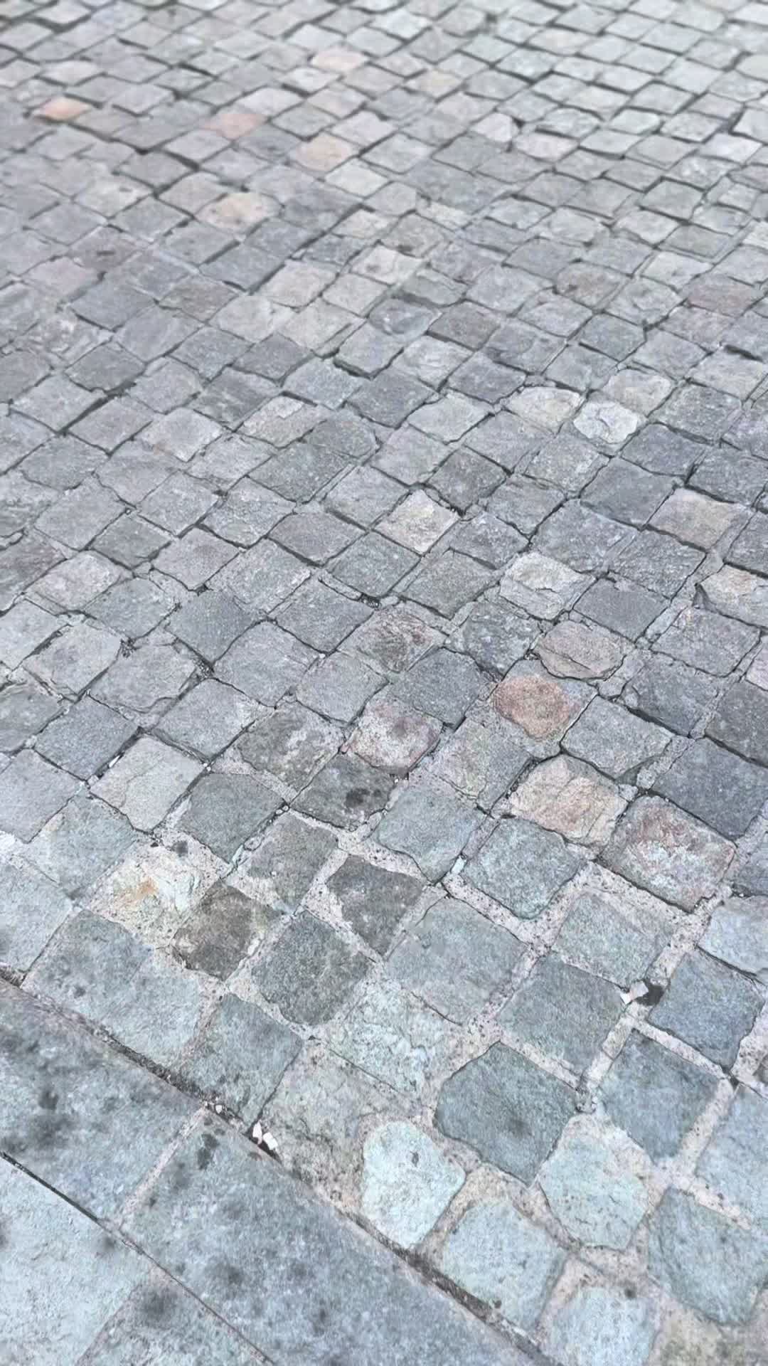 @__sacco_