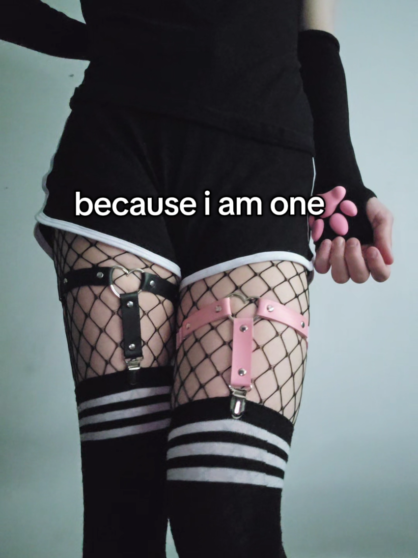 @Ollie <3