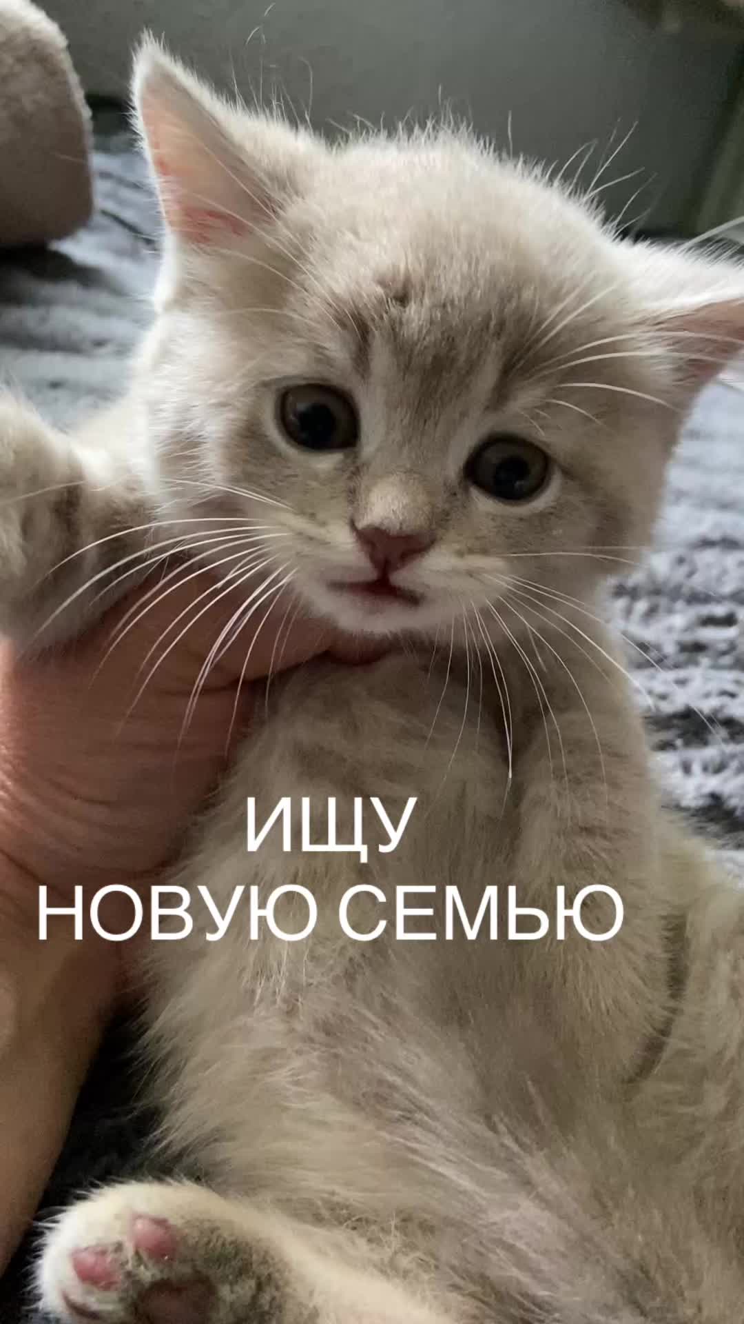 @ВИКУСЯ ЯСНОВИДЯЩАЯ