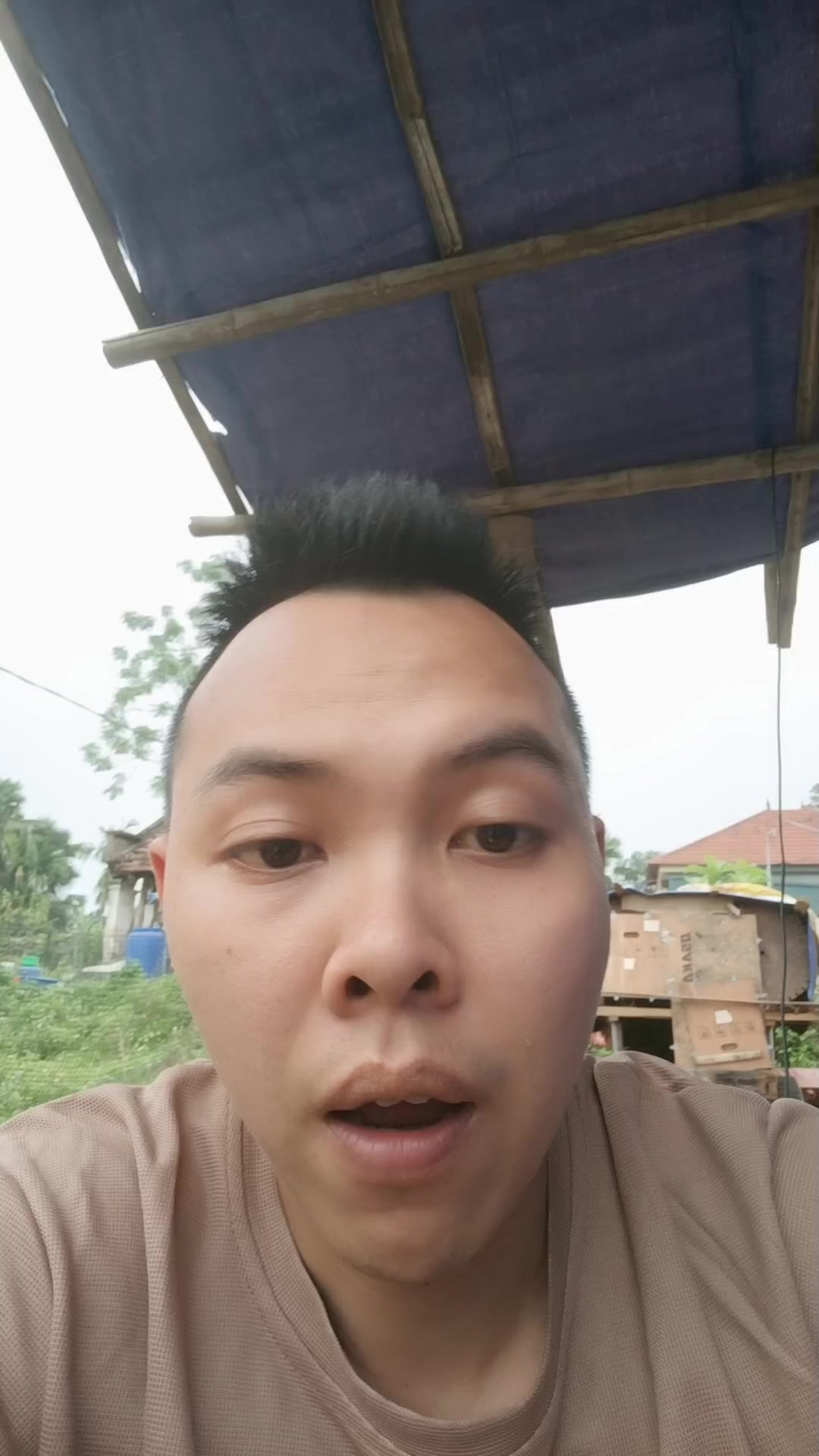 @ánh coca shop