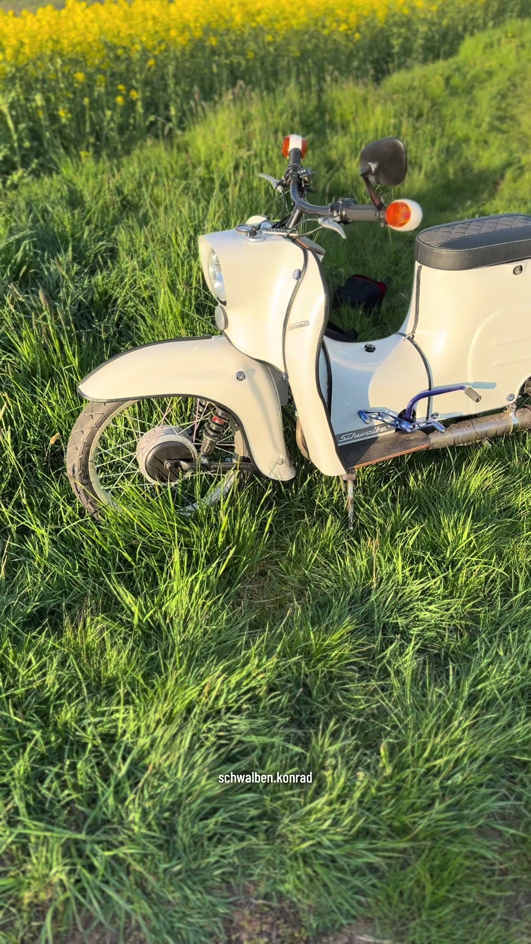@schwalben.konrad