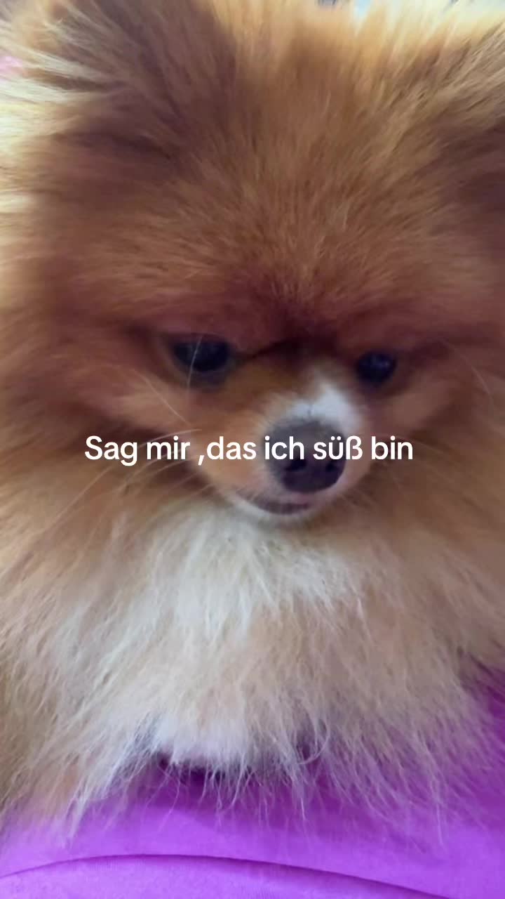 @Angelika🇷🇺