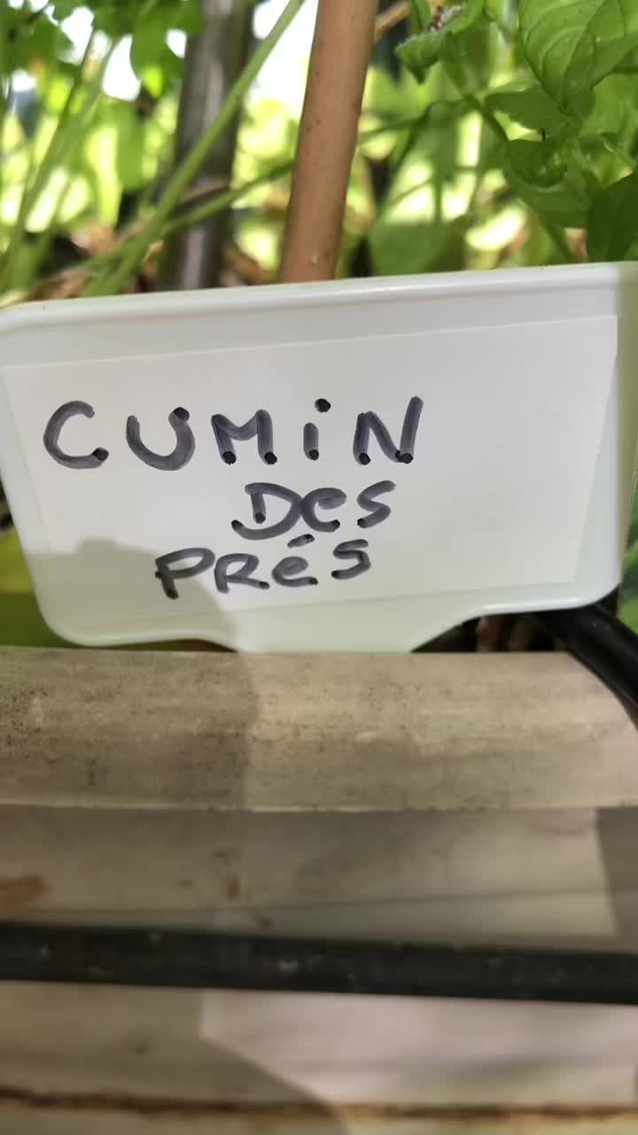 @lecoindesplantes