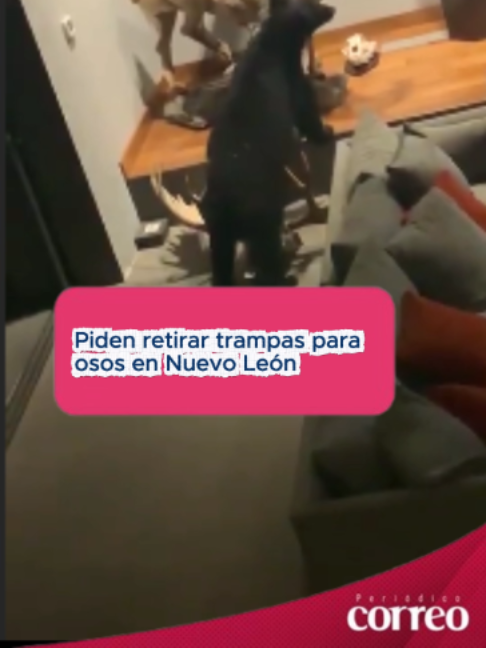 @Periódico Correo