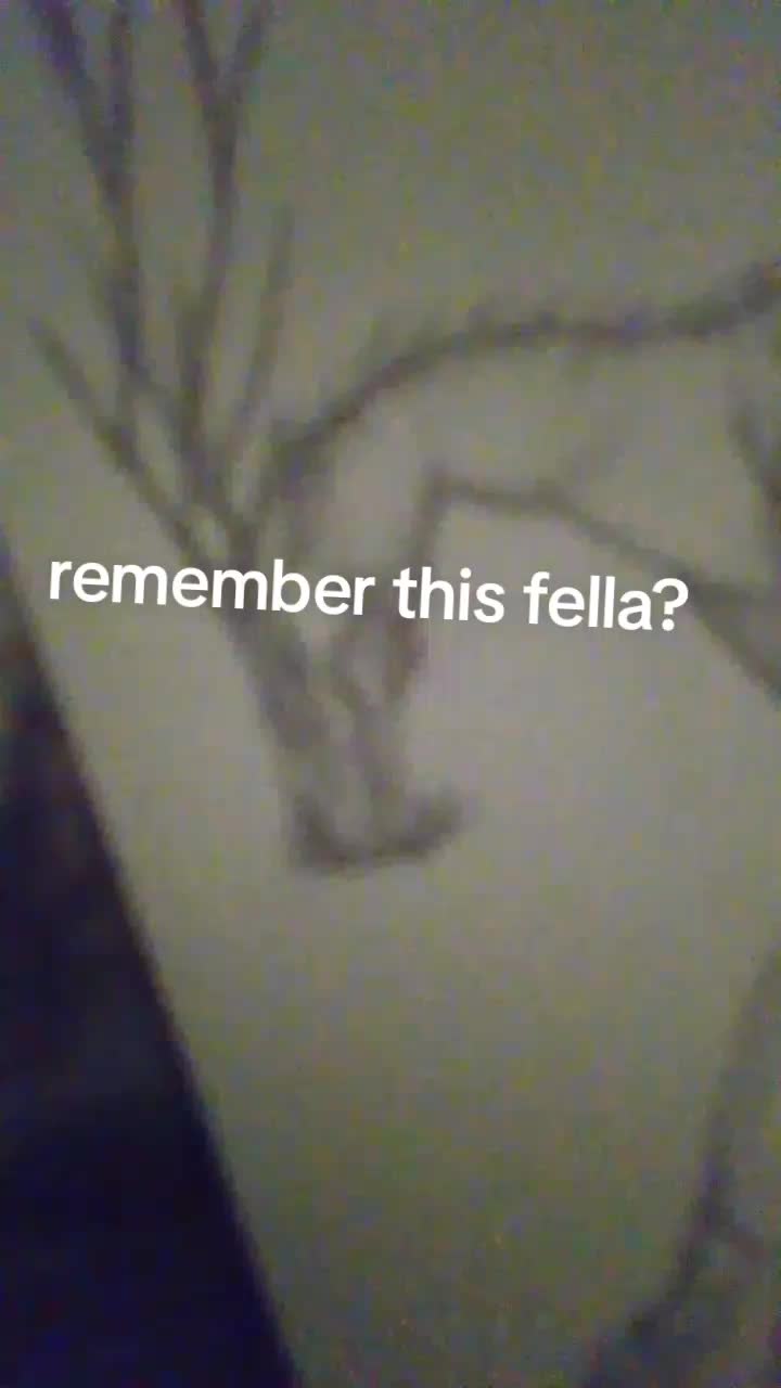 @sourpickel