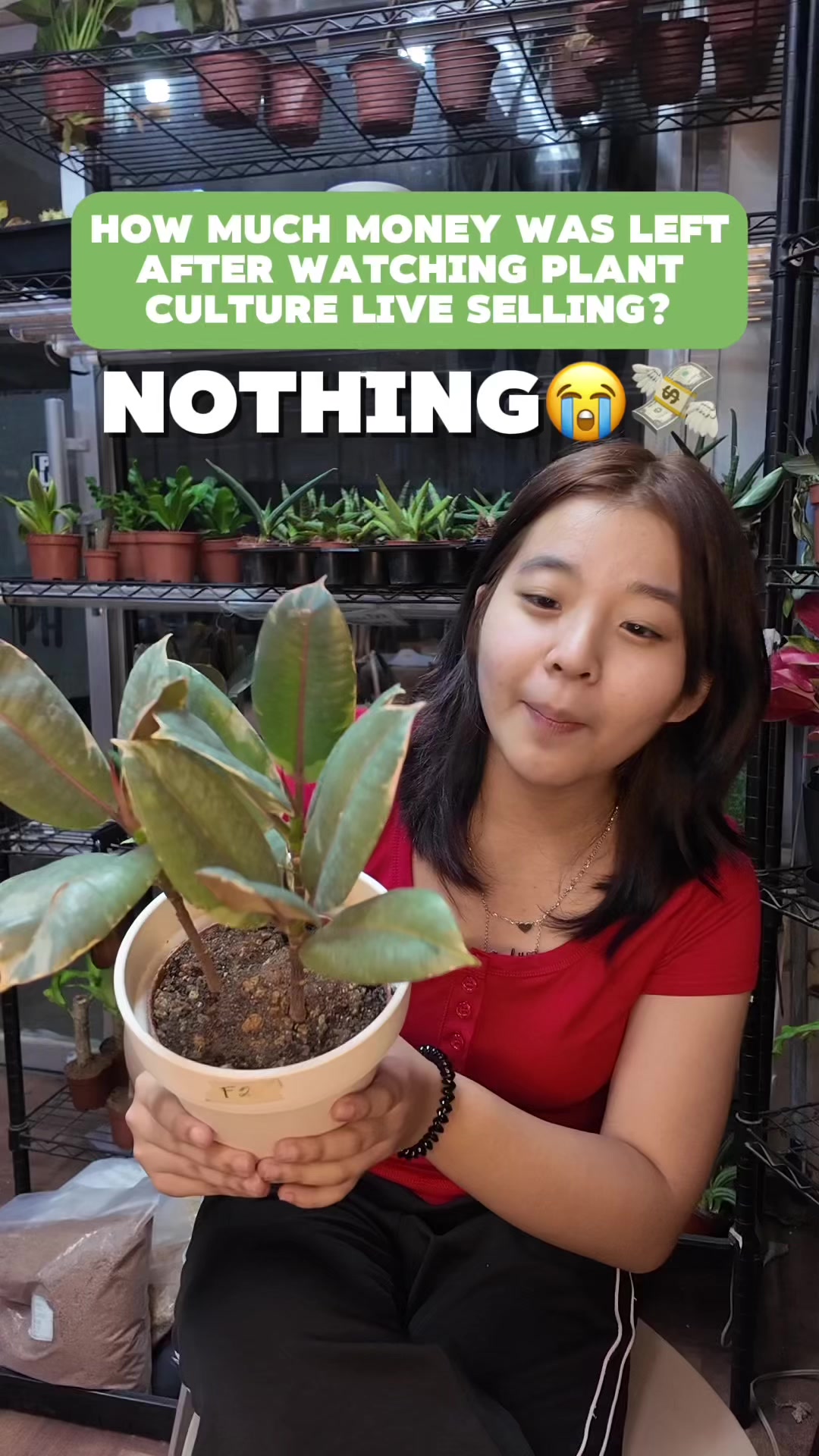@PlantCulturePH