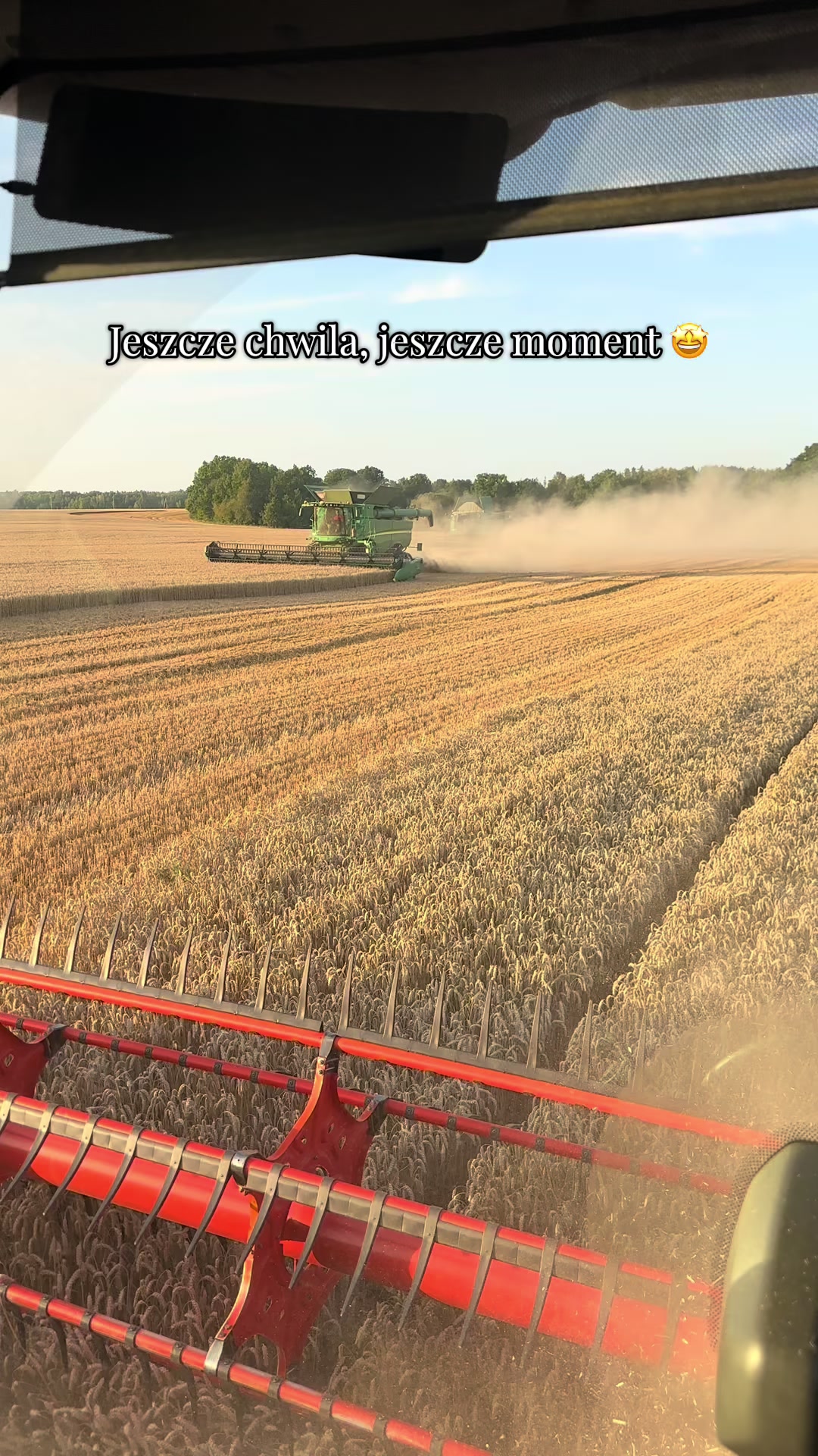 @Agro Tobiasz