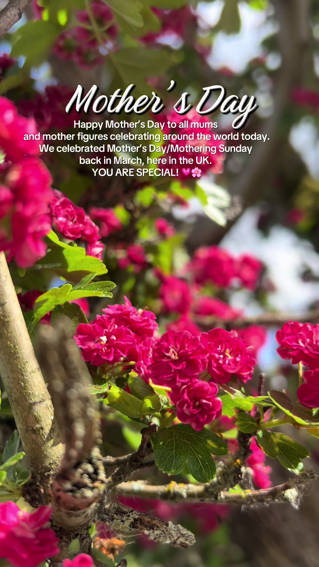 @Jeannel Duncan-Dolcy