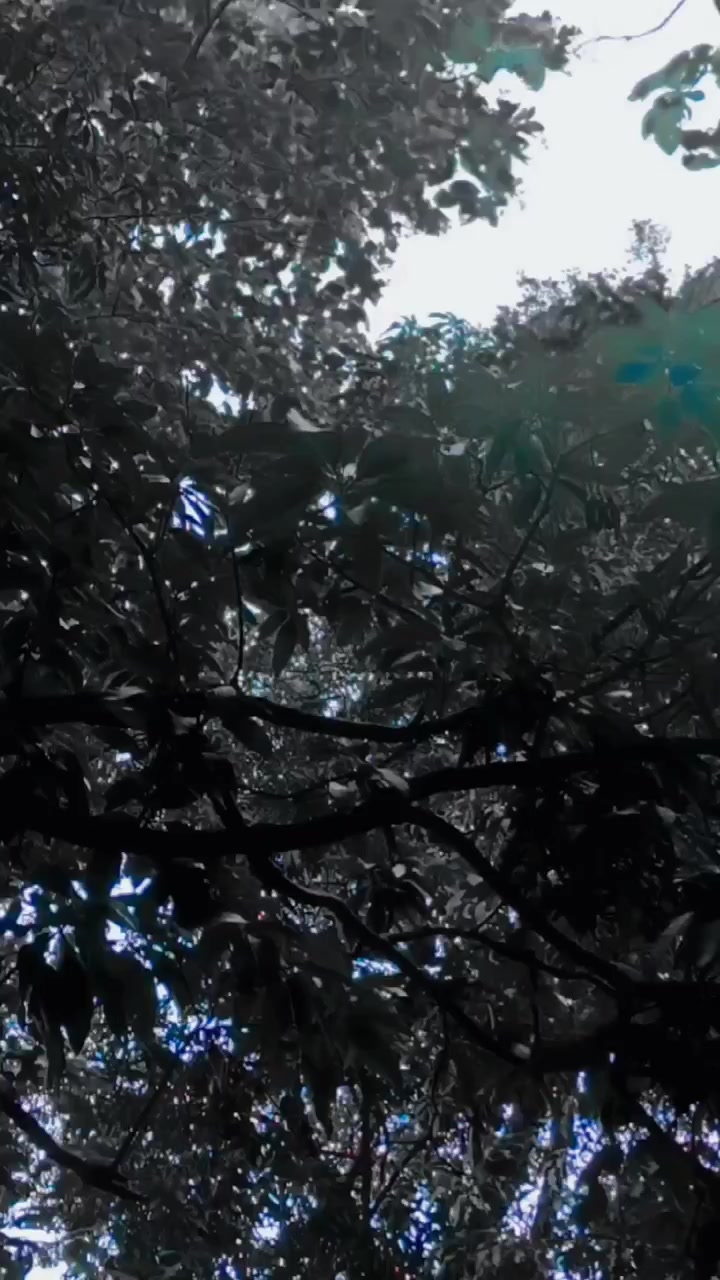 @💞💞𝓝𝓪𝓻𝓮𝓼𝓱 𝓰𝓾𝓹𝓽𝓪💞