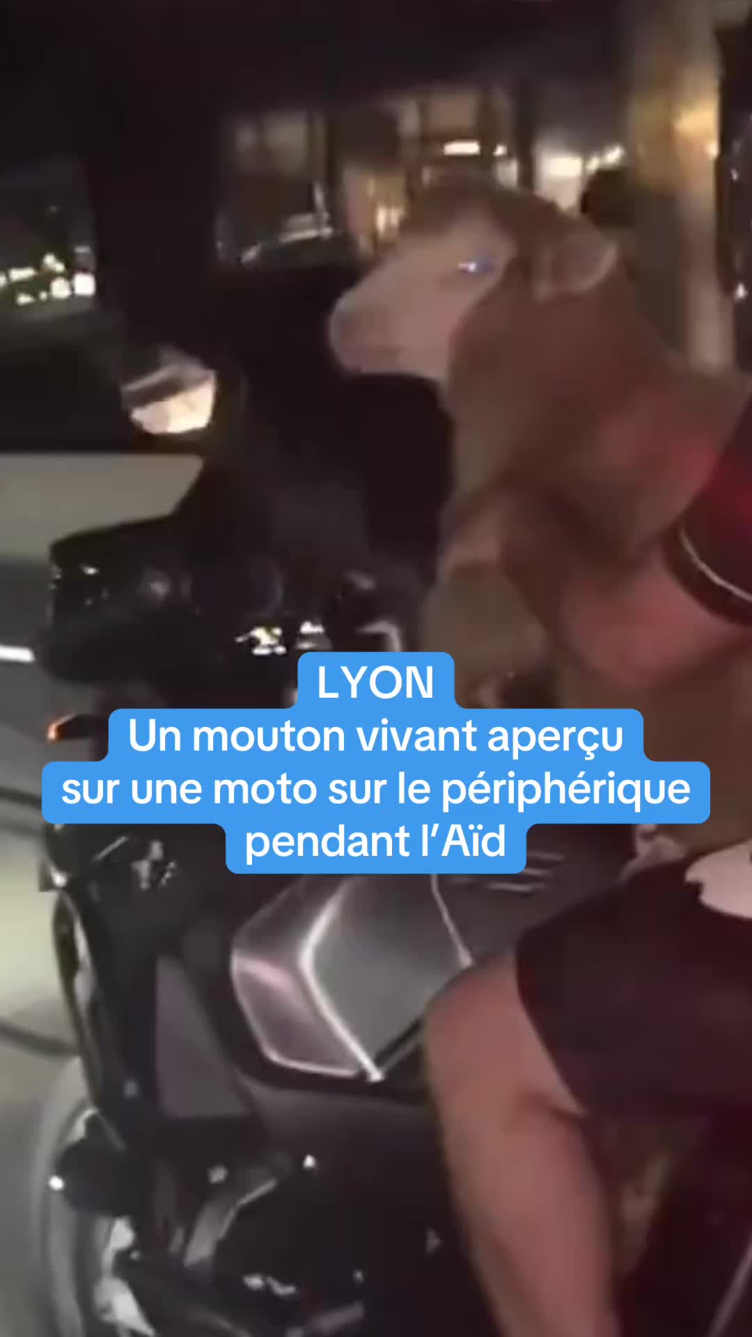 @actu Lyon