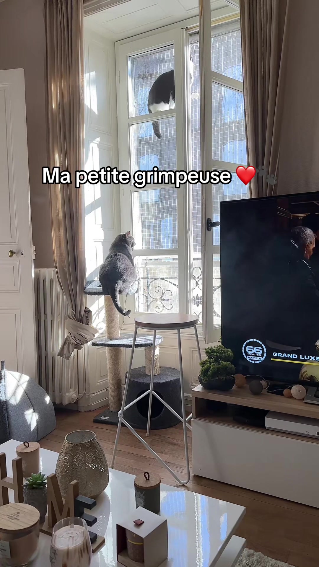 @Le_Chapitre_Ephemere