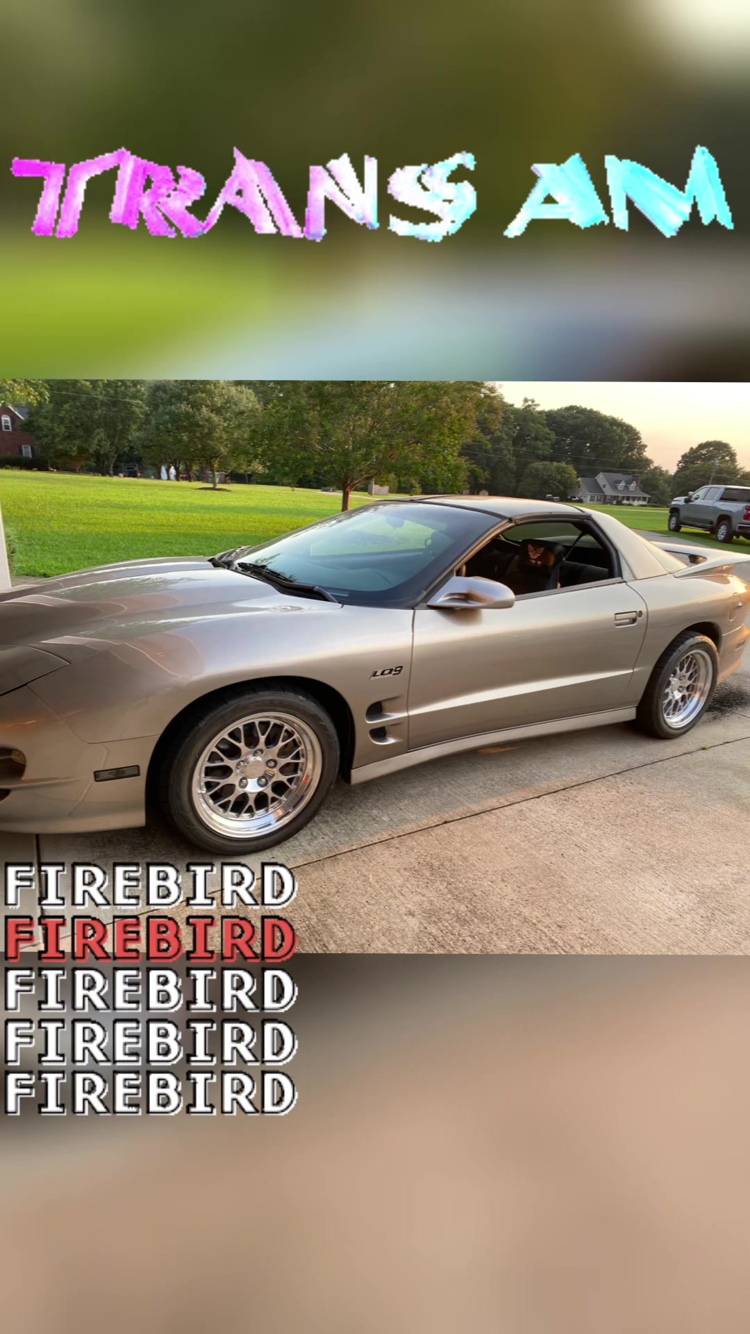@Harris Pets & Vettes