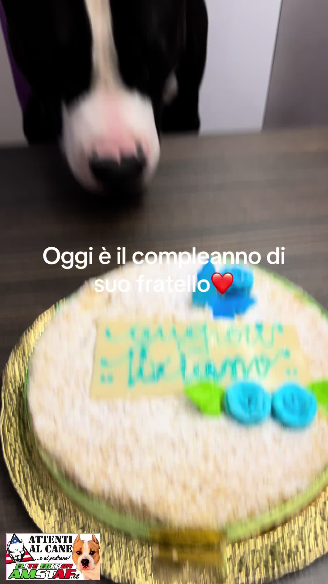 @enea2025