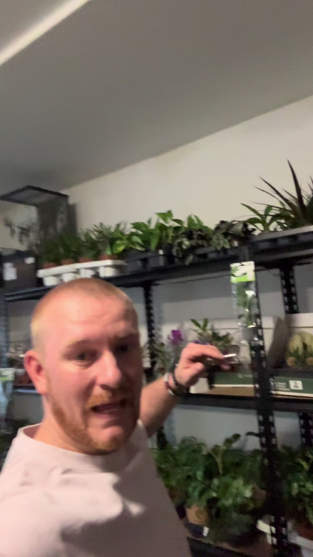 @Home-of-Insects