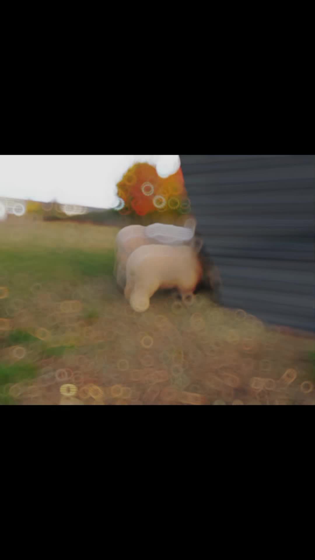 @🦚🆃𝓲𝓮𝓻🅿𝓪𝓻𝓴🆃𝓸𝓴🦚