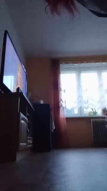 @dasapalova