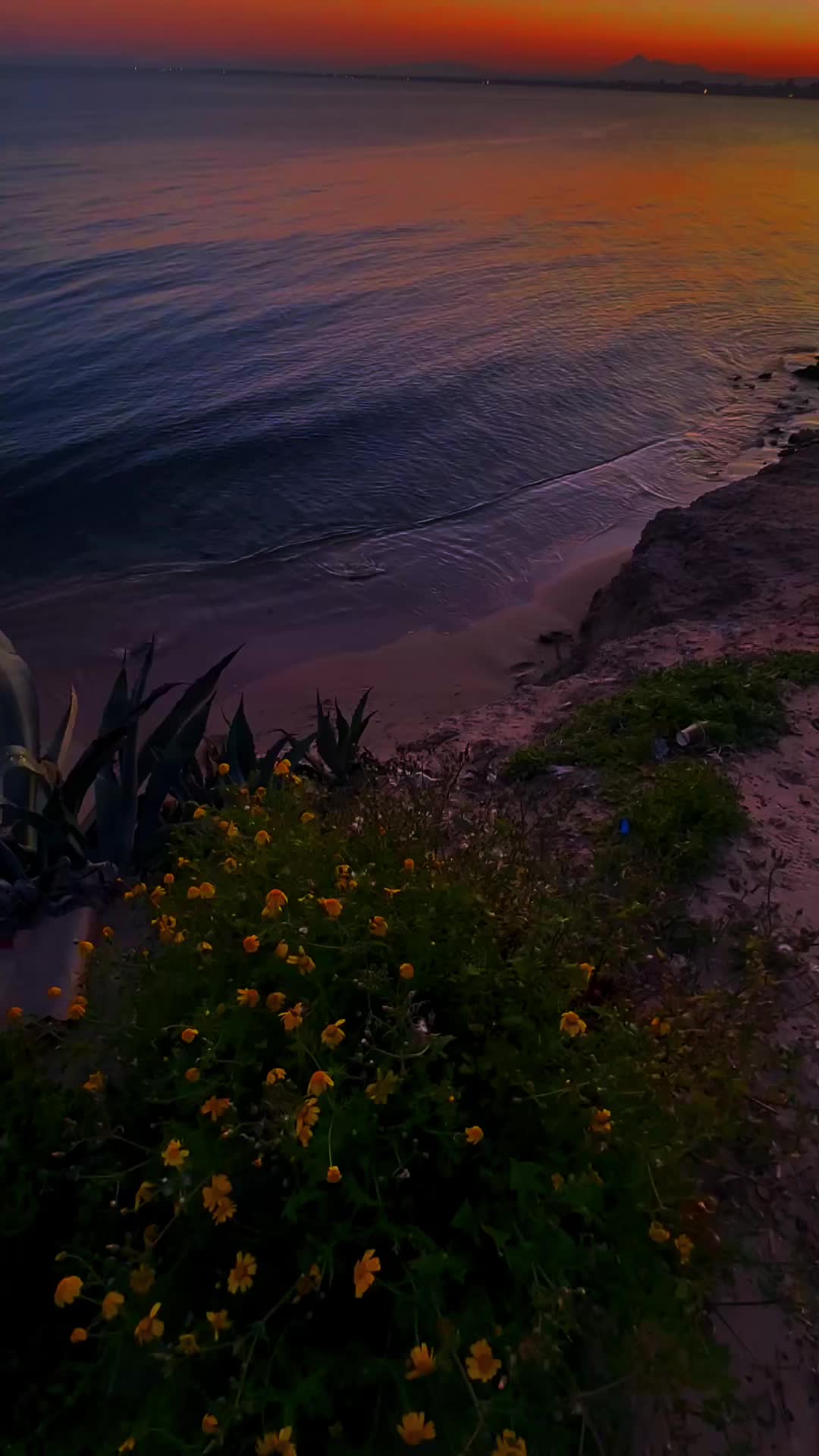 @🌊Atardeceres🌊
