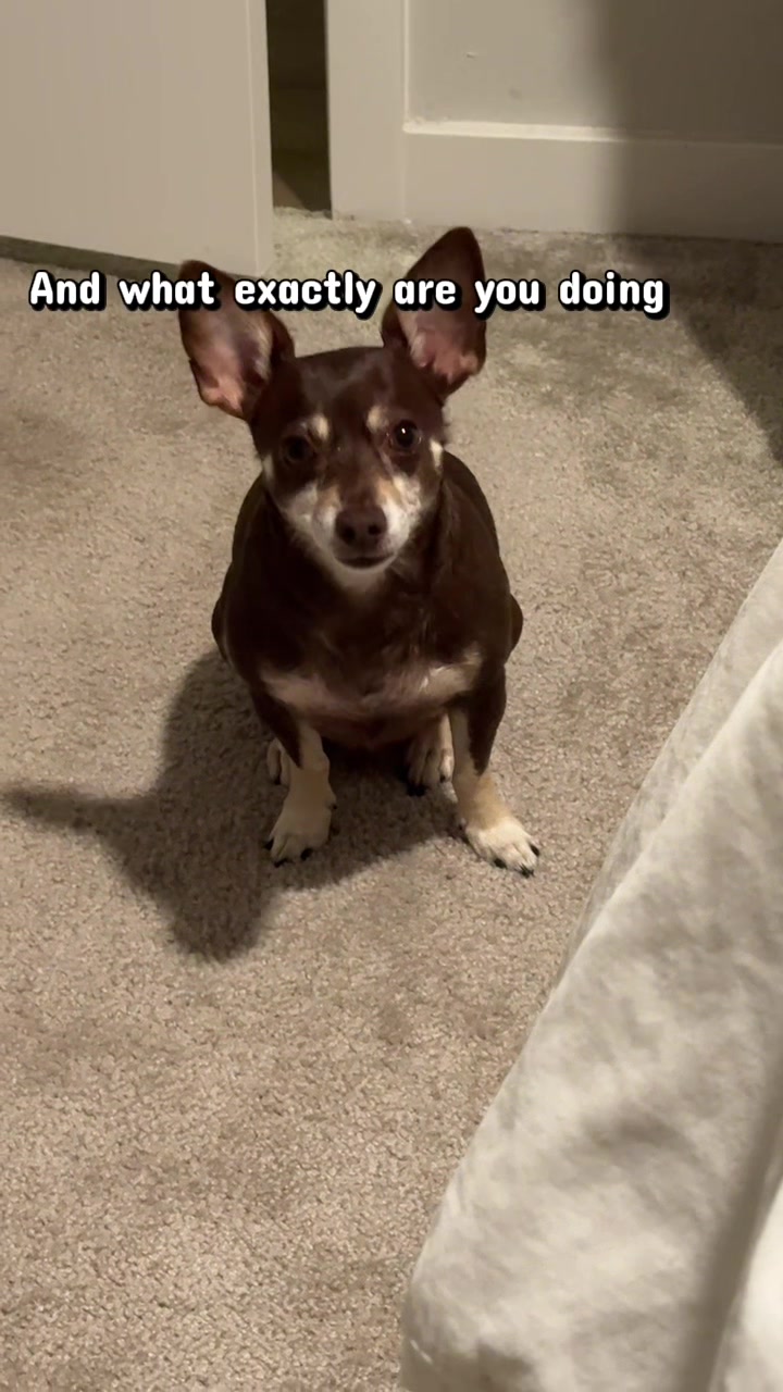 @Bruno28