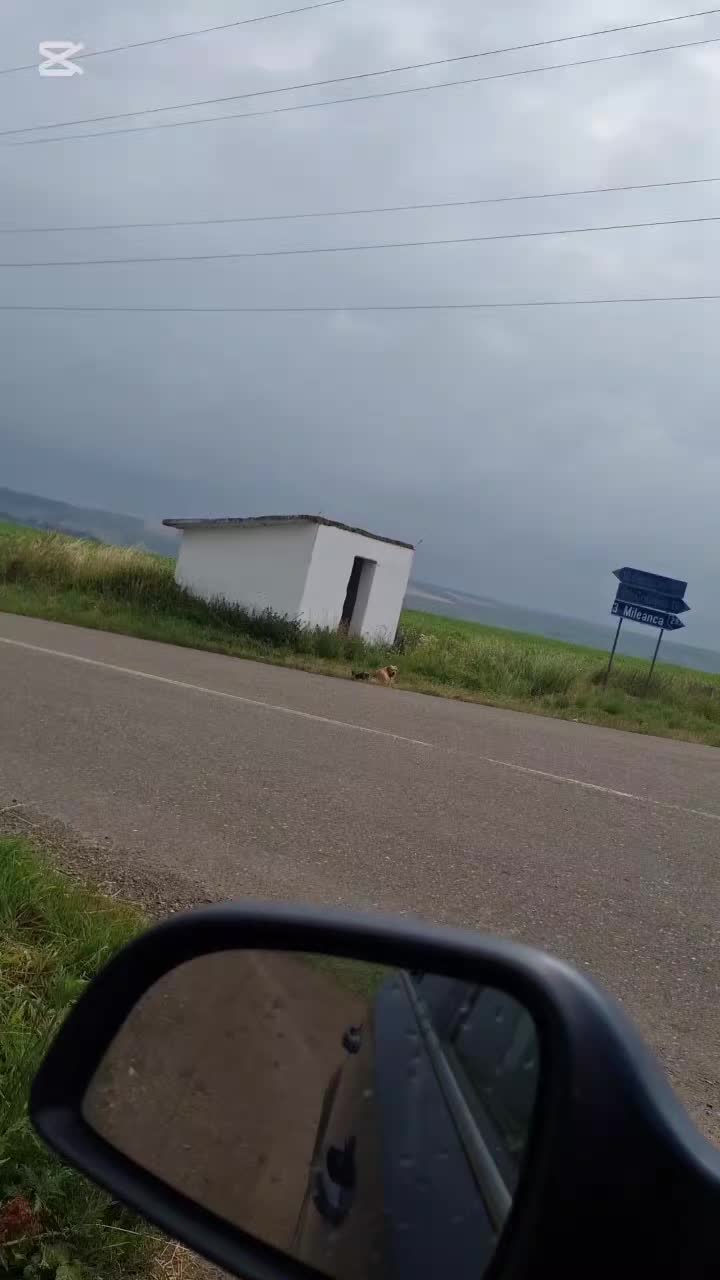 @Blanosii nordului