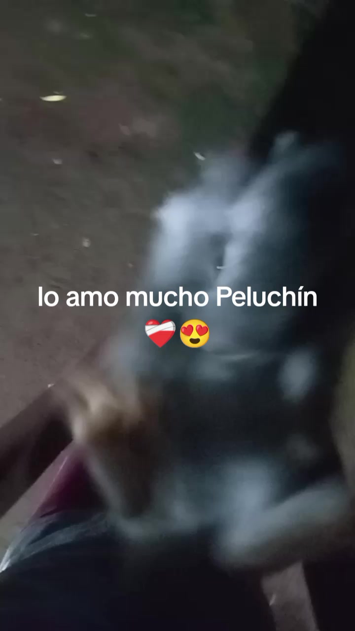 @Lia Mejia