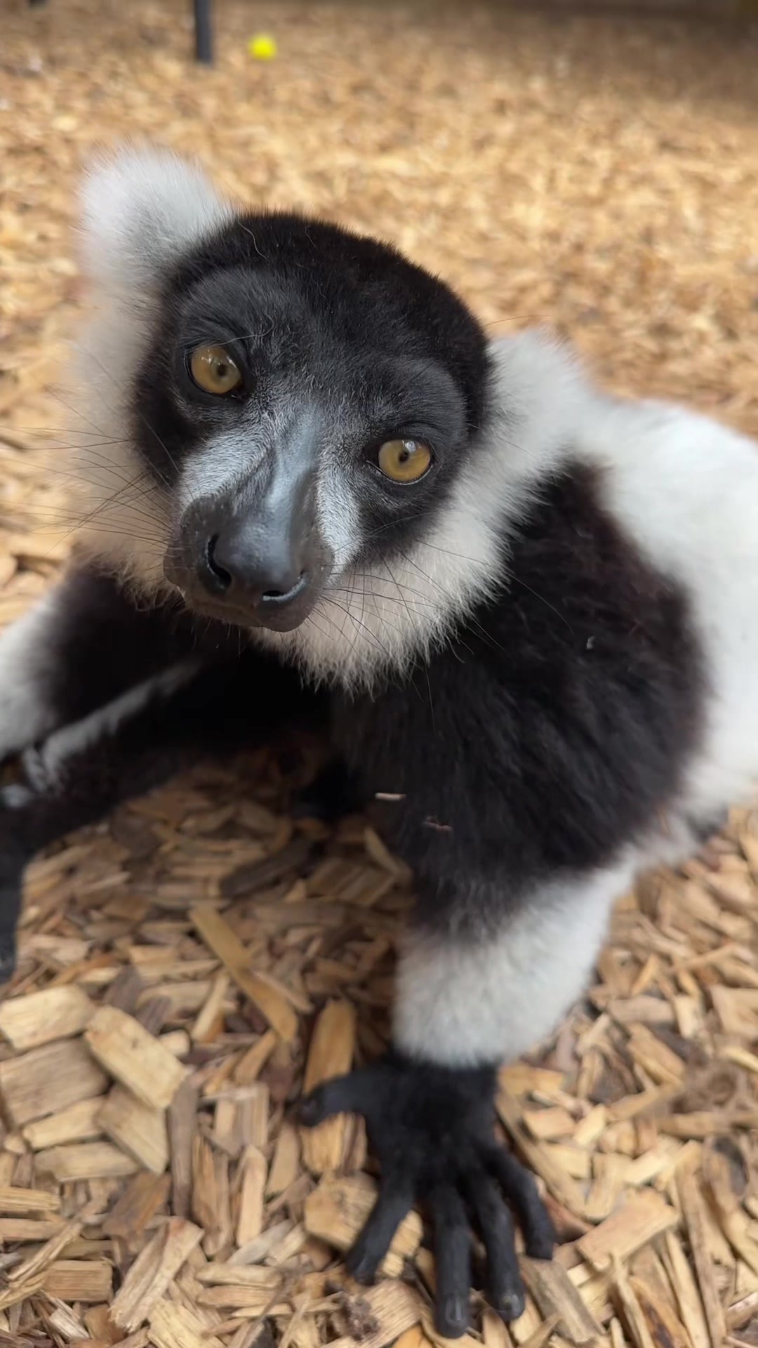 @Texas Wildlife Park