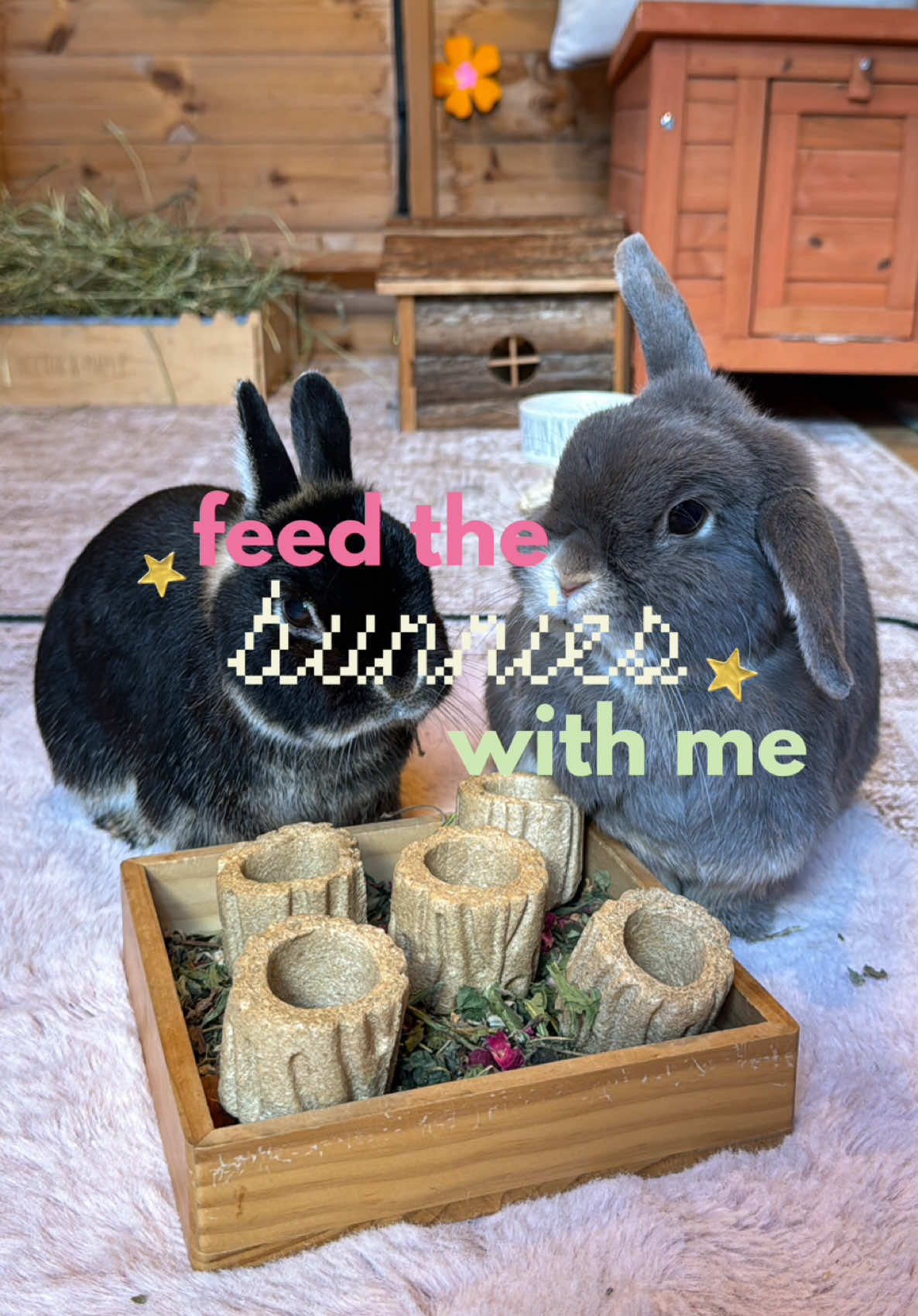 @Sophie & Co.