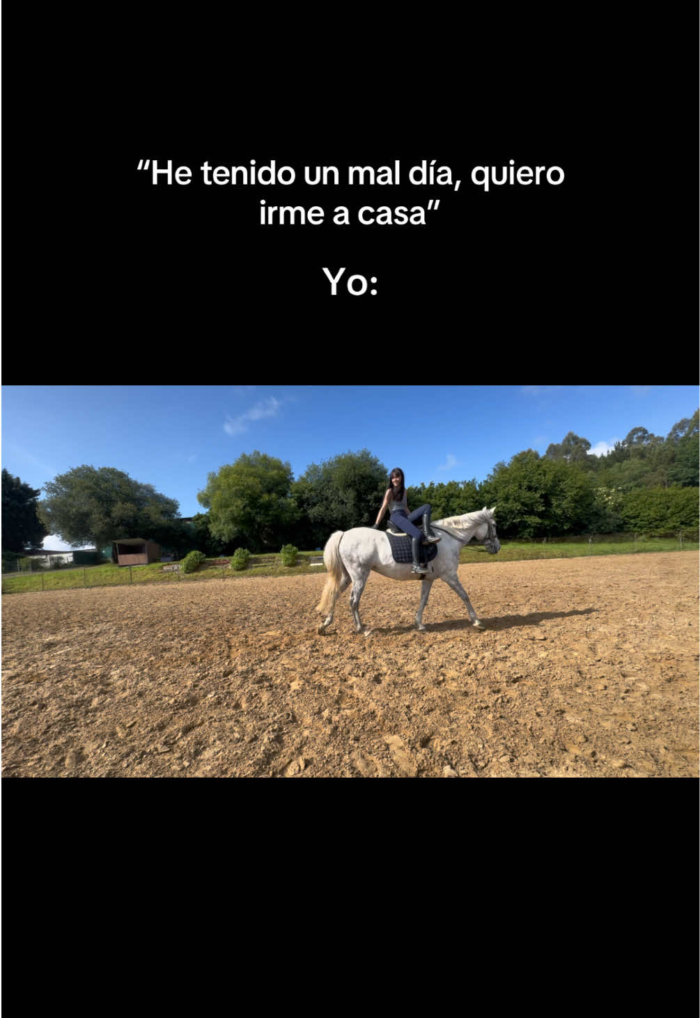 @Clauu🦕
