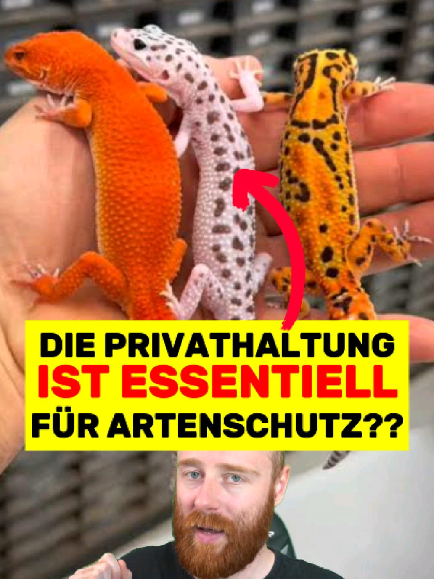 @Rasa's Welt