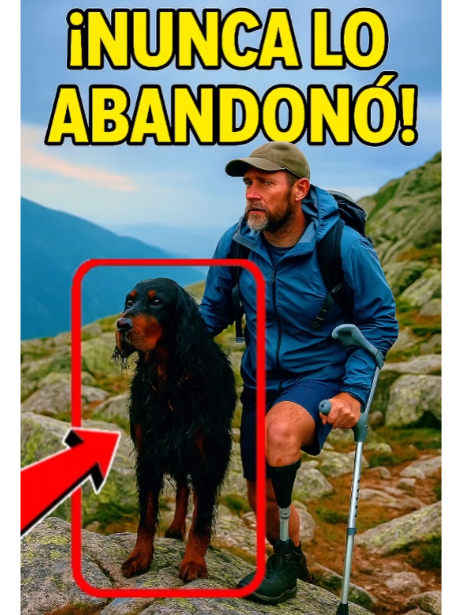 @CLUB DE ANIMALES