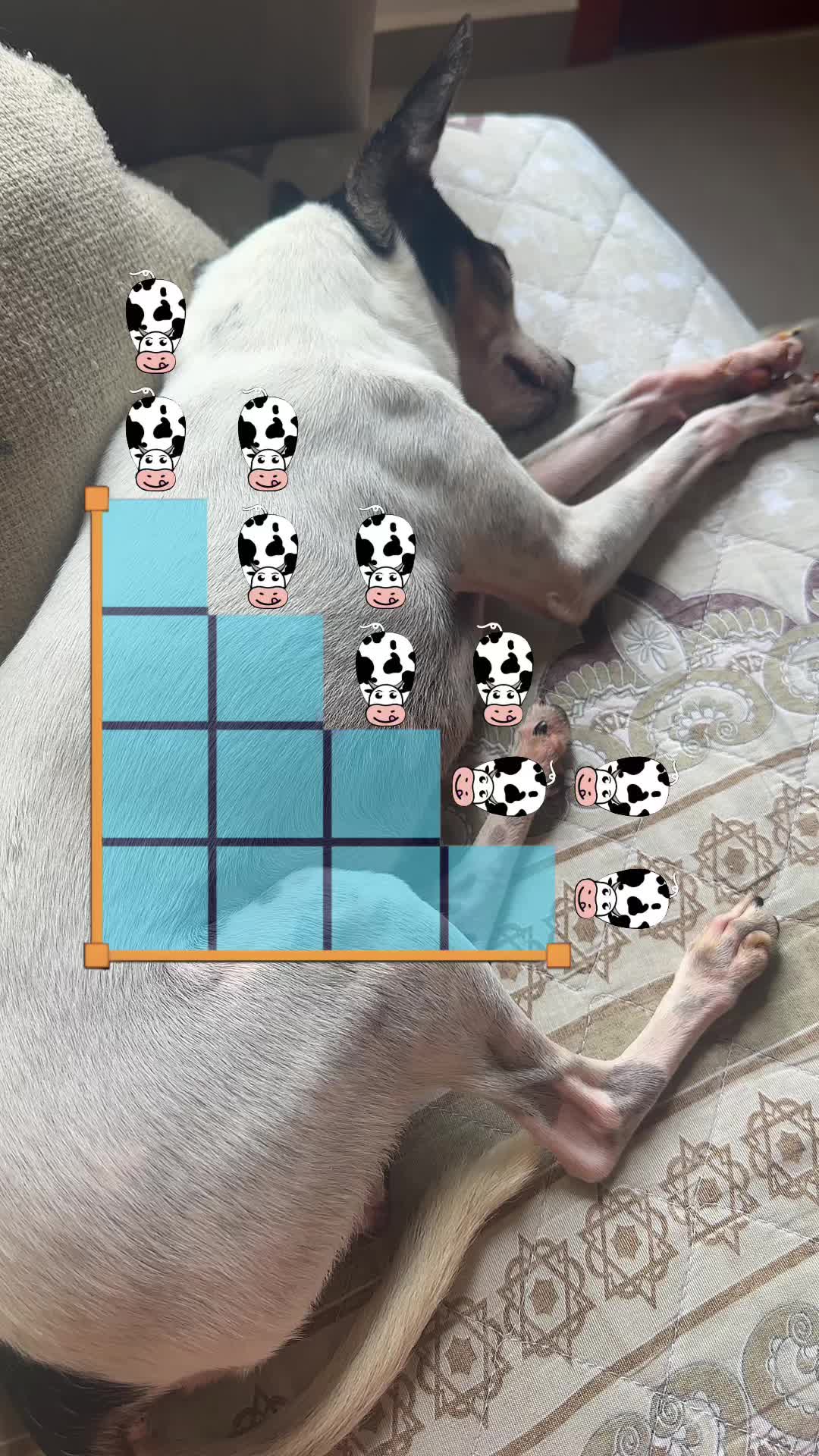 @Casinha660