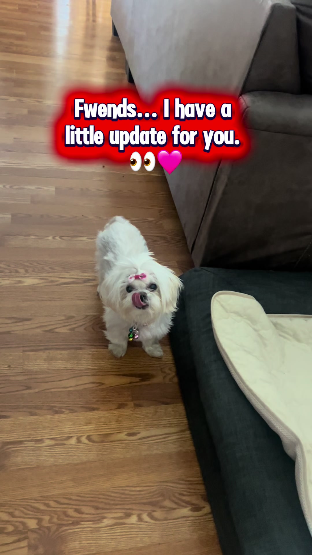 @BelDotLey