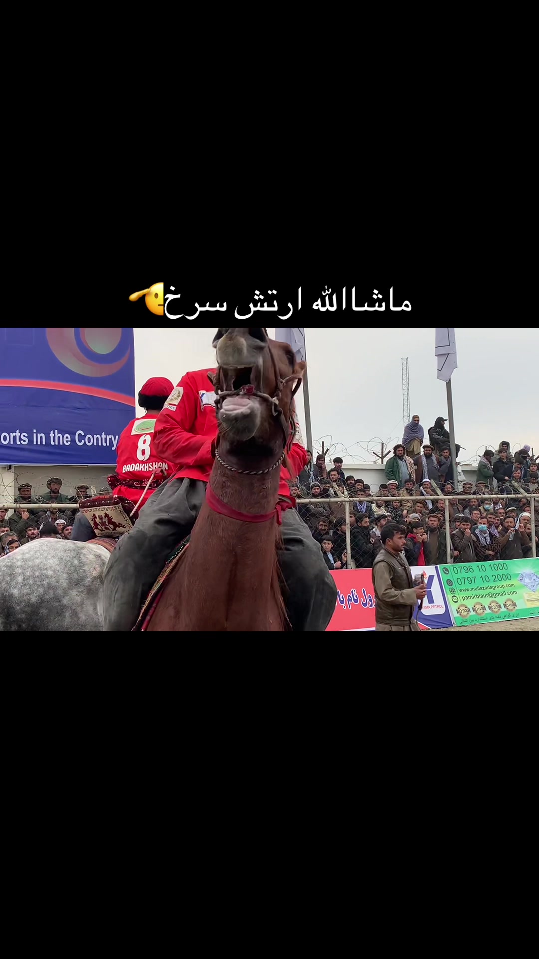 @شهزاده💎گگ بدخشی🦅