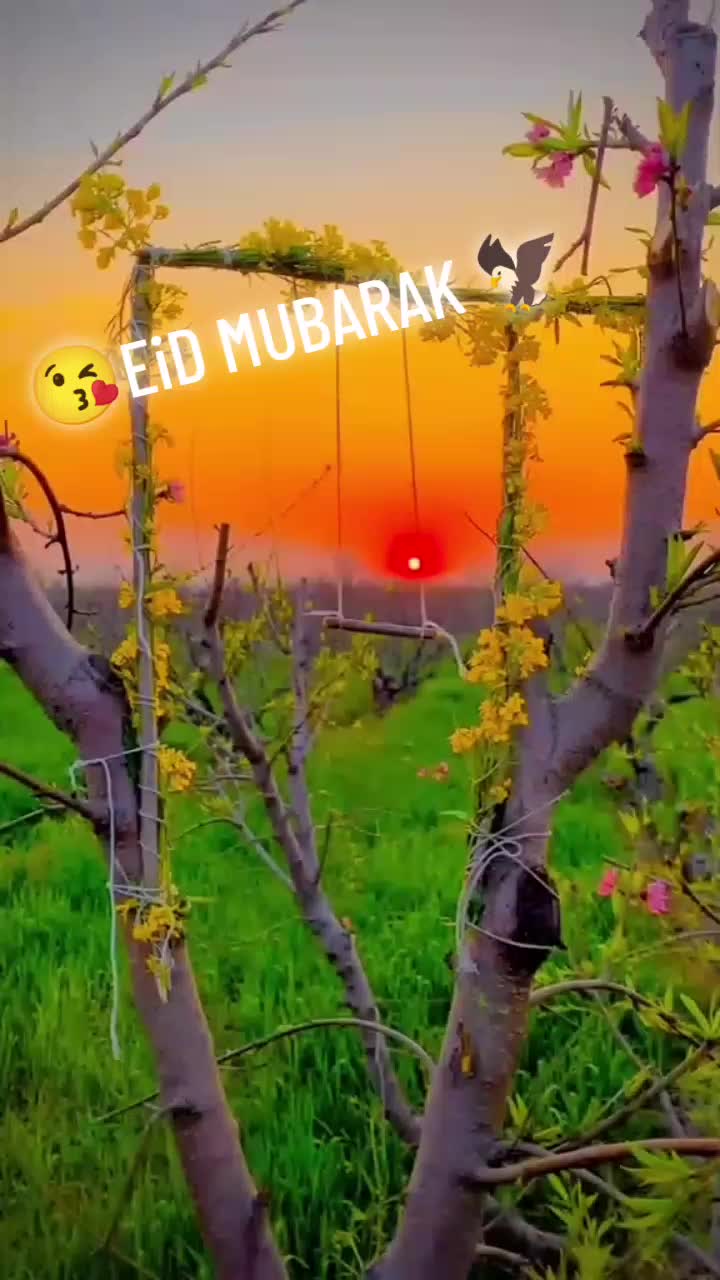 @🦅MADNI🦅