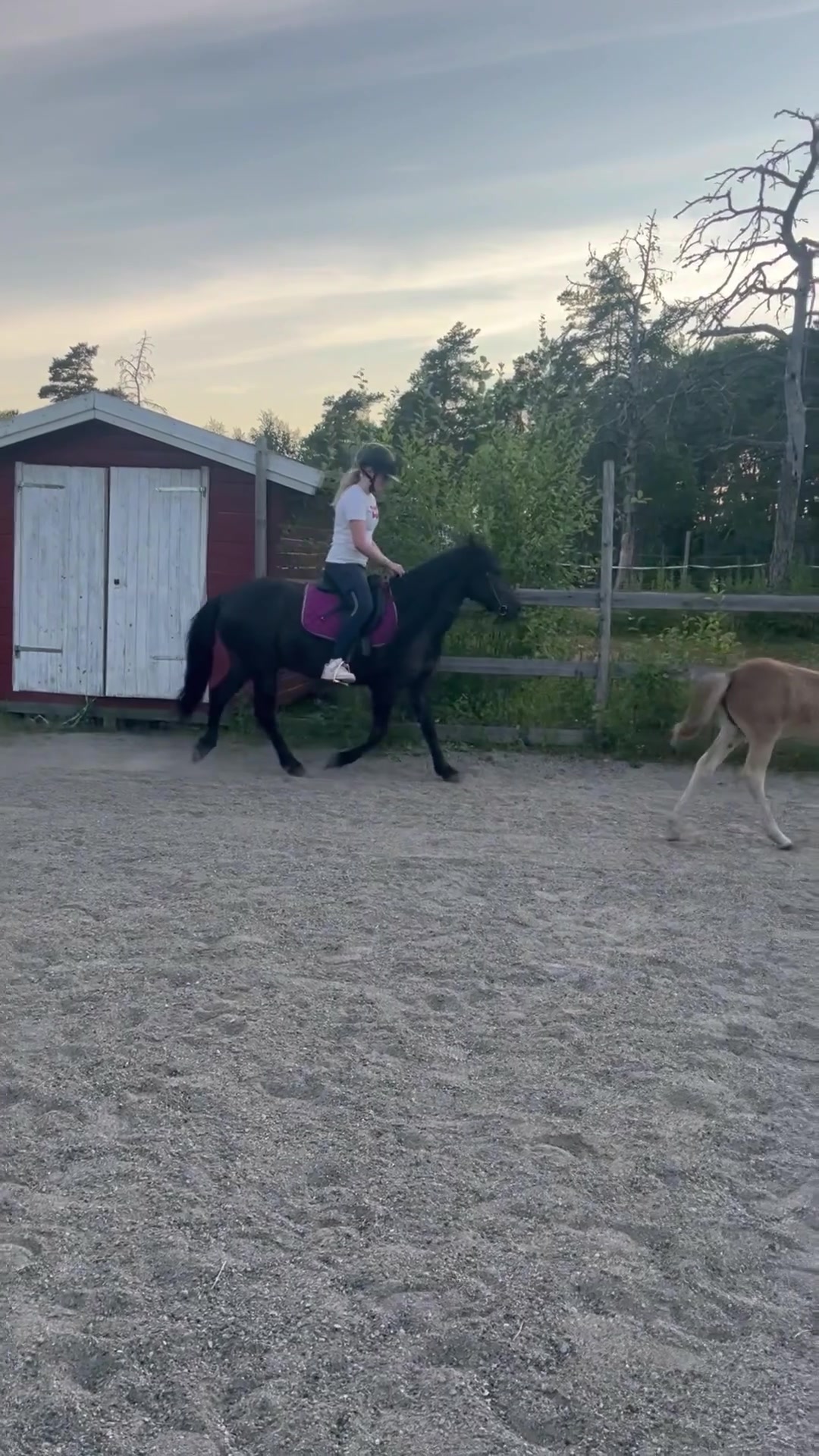@𝒜𝓂𝒶𝓁𝒾𝒶💘