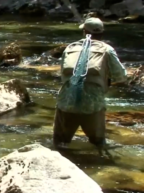 @Fishing TV
