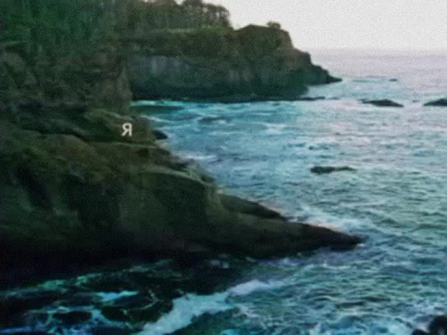 @♪𝘴𝘴𝘩𝘩𝘰𝘰𝘳𝘳𝘵𝘵𝘺𝘺♪