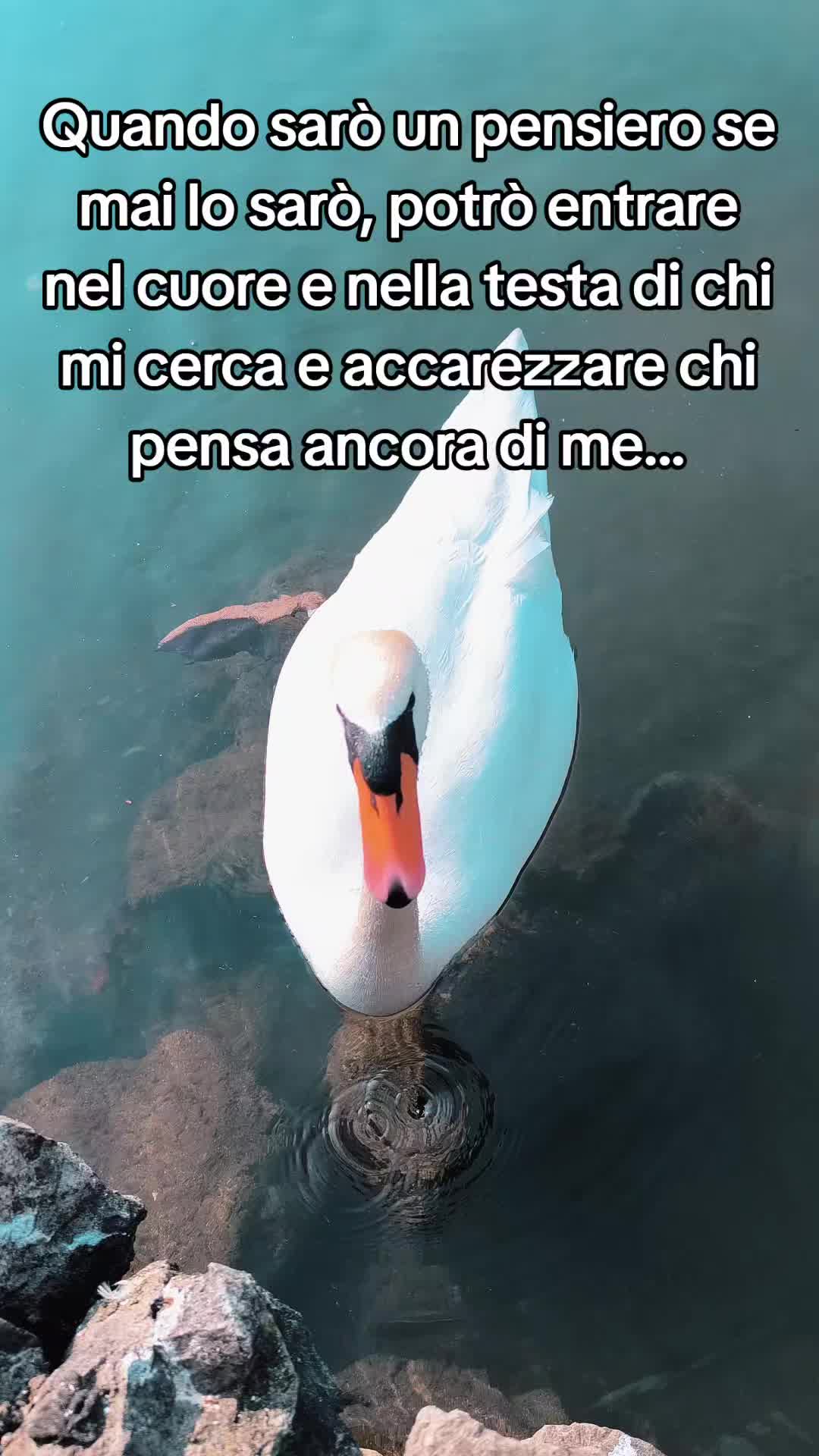 @Michele Puddu