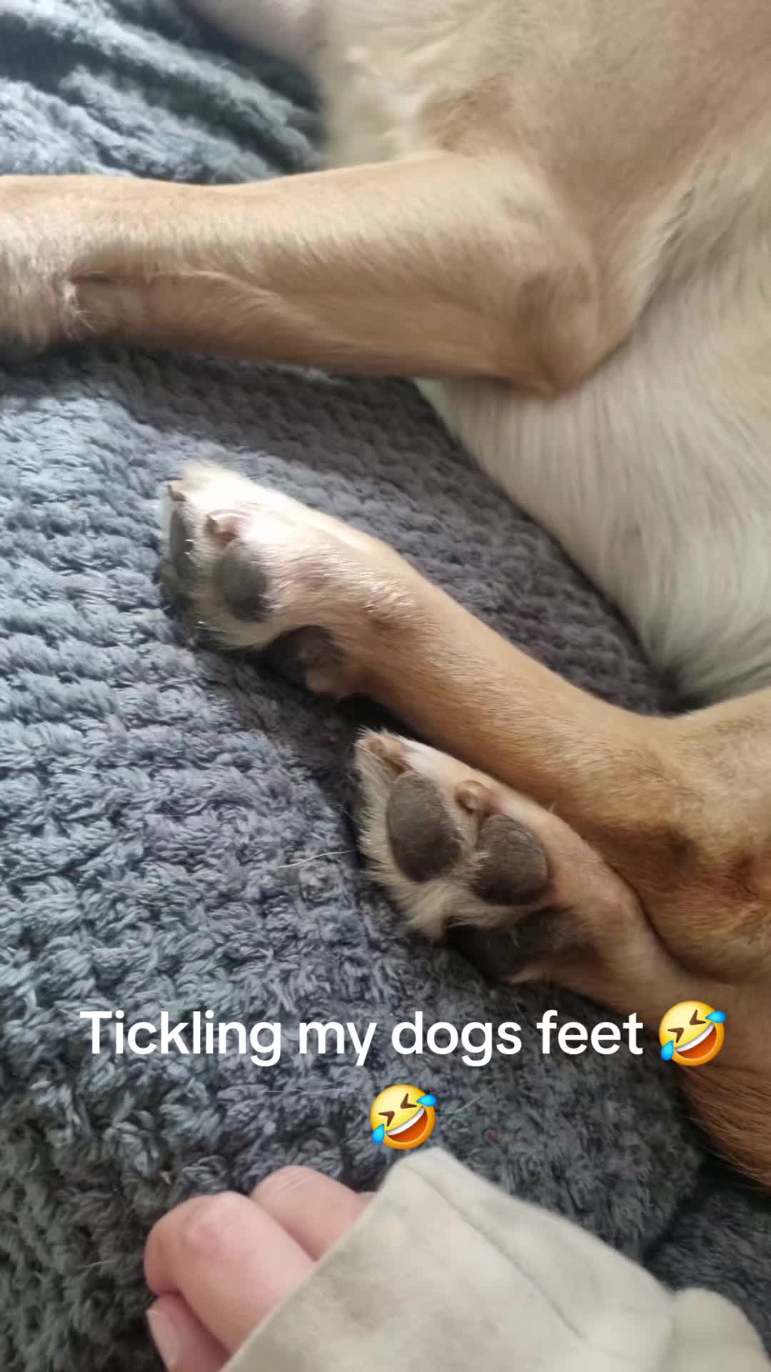 @Beth9724😜
