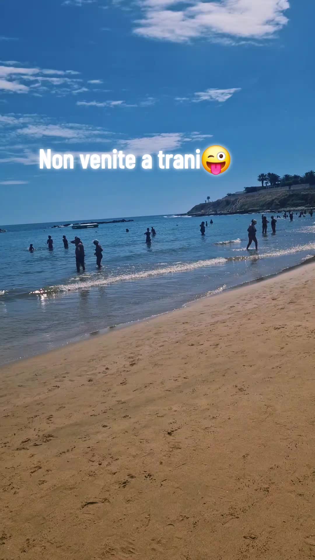 @ROSSELLA