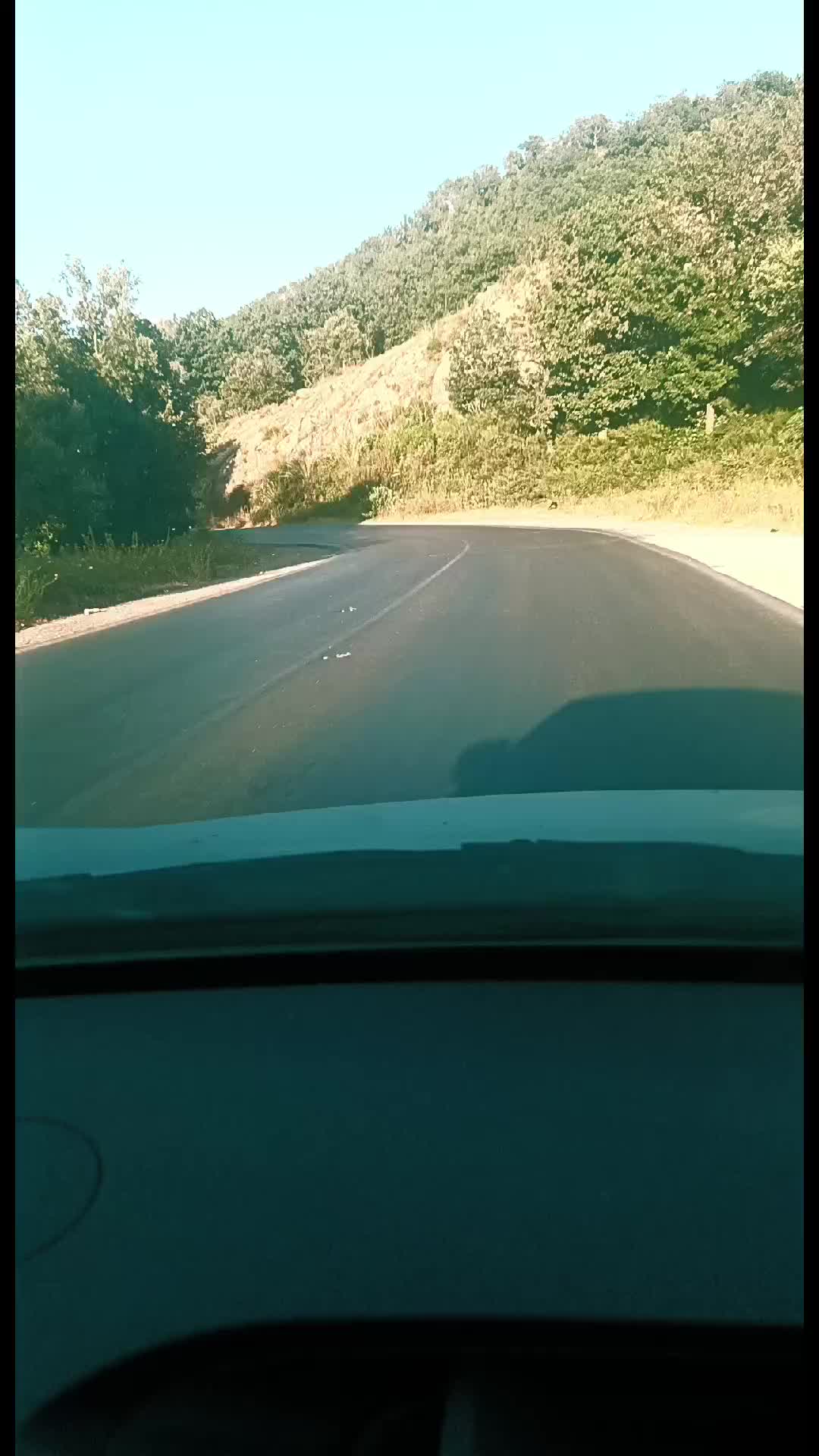 @kabyle-dz