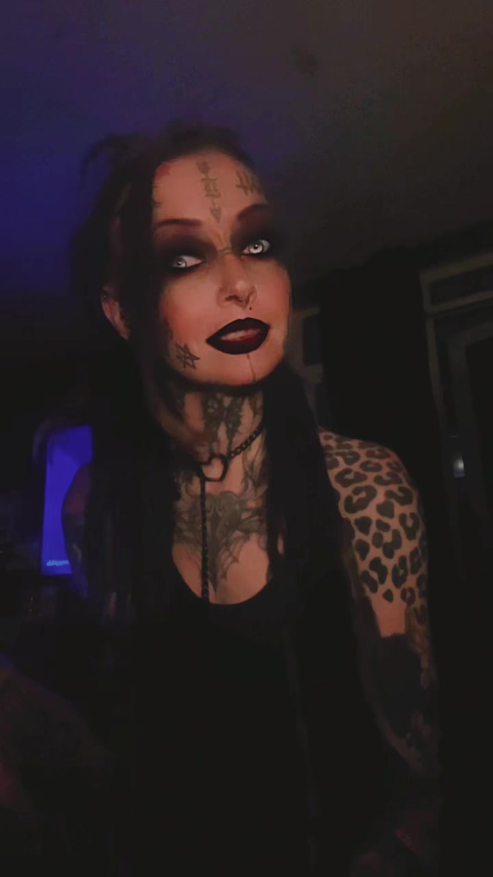 @Milenko (Ragdoll)