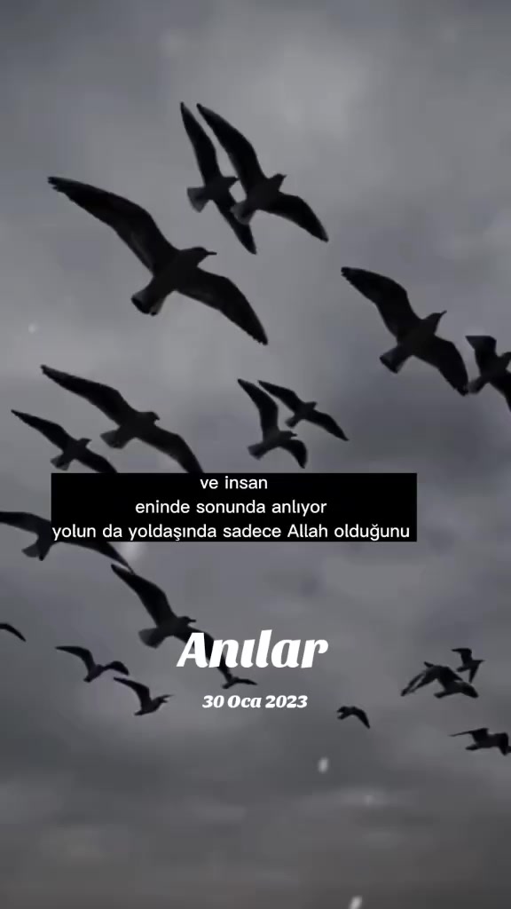 @🍂MUVAHHİDE🍂